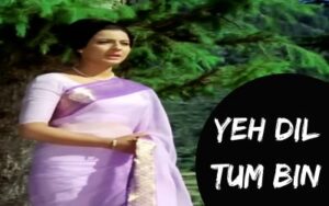 ye dil tum bin lyrics